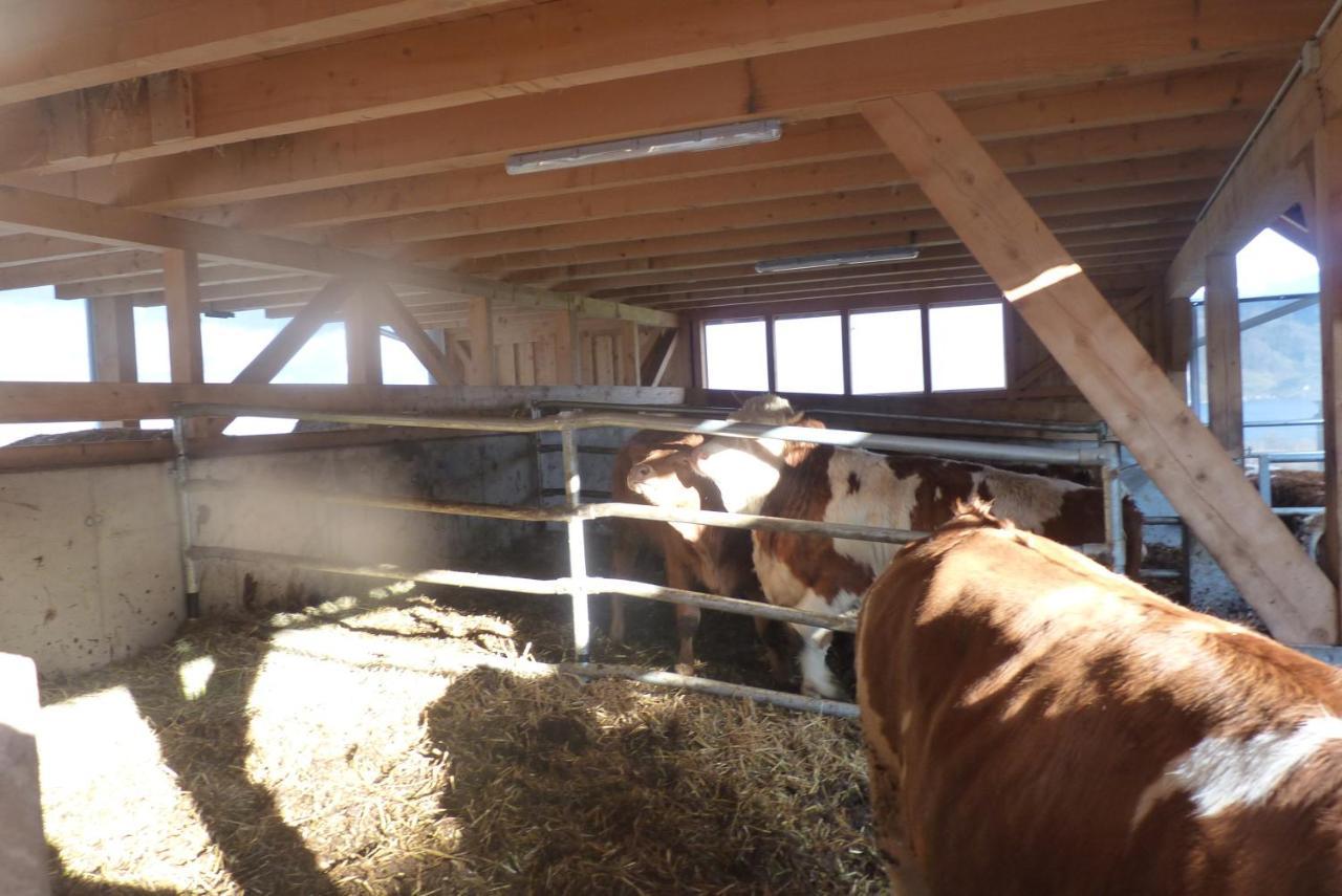 Appartamento Landgut Wagnerfeld Altmünster Esterno foto
