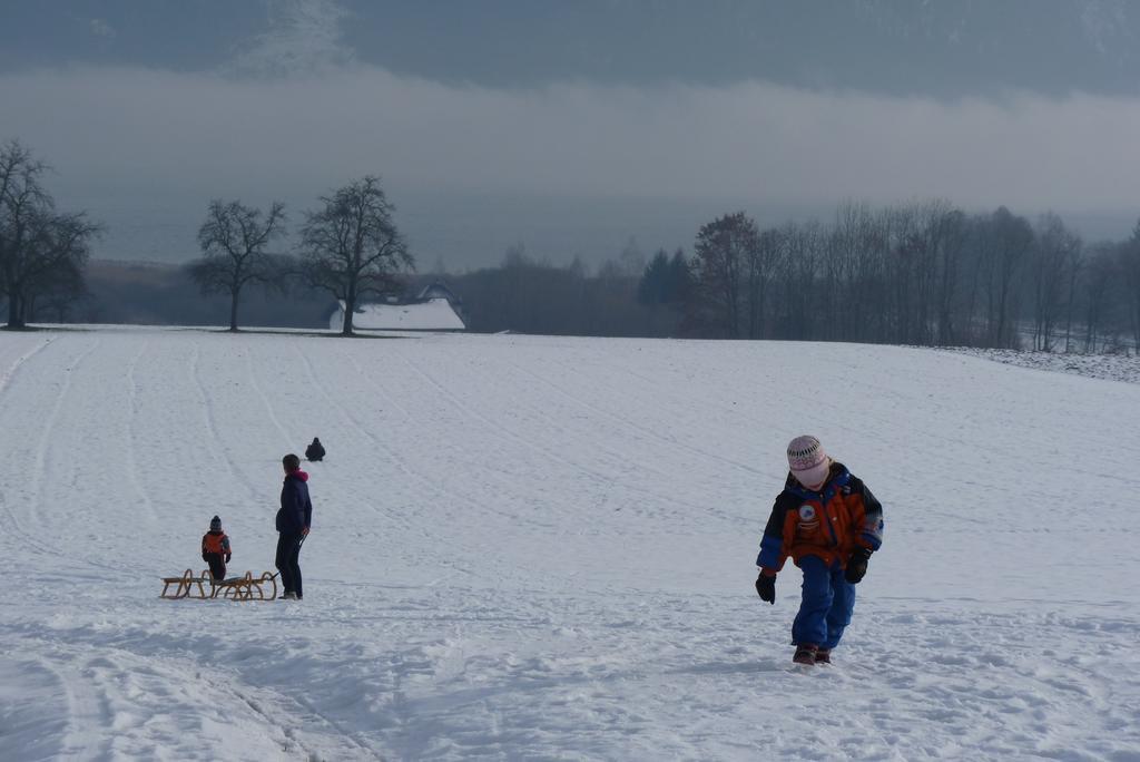 Appartamento Landgut Wagnerfeld Altmünster Esterno foto
