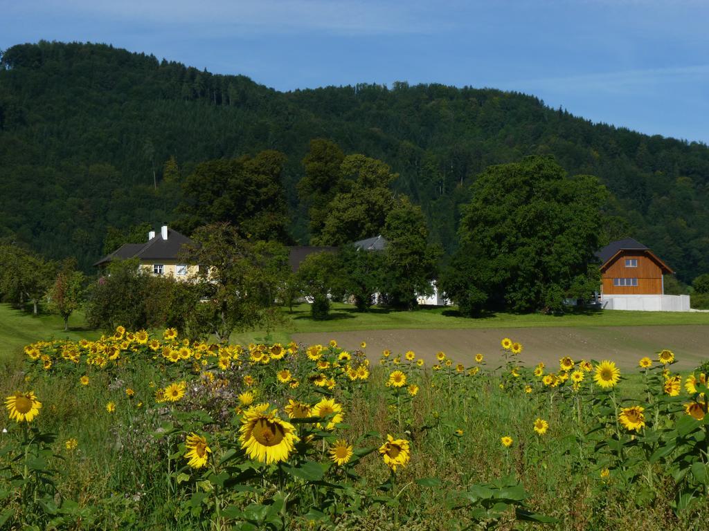 Appartamento Landgut Wagnerfeld Altmünster Esterno foto