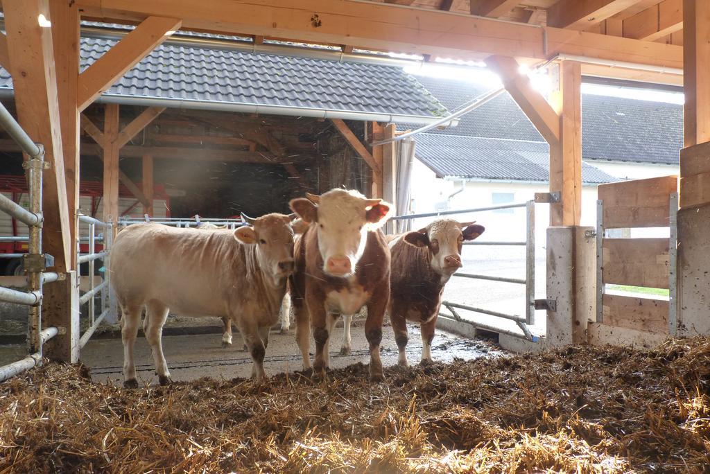 Appartamento Landgut Wagnerfeld Altmünster Esterno foto